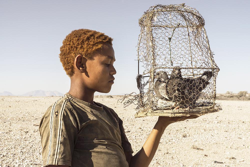 Arcolisboa Online Curators And Collectors Picks Artsy