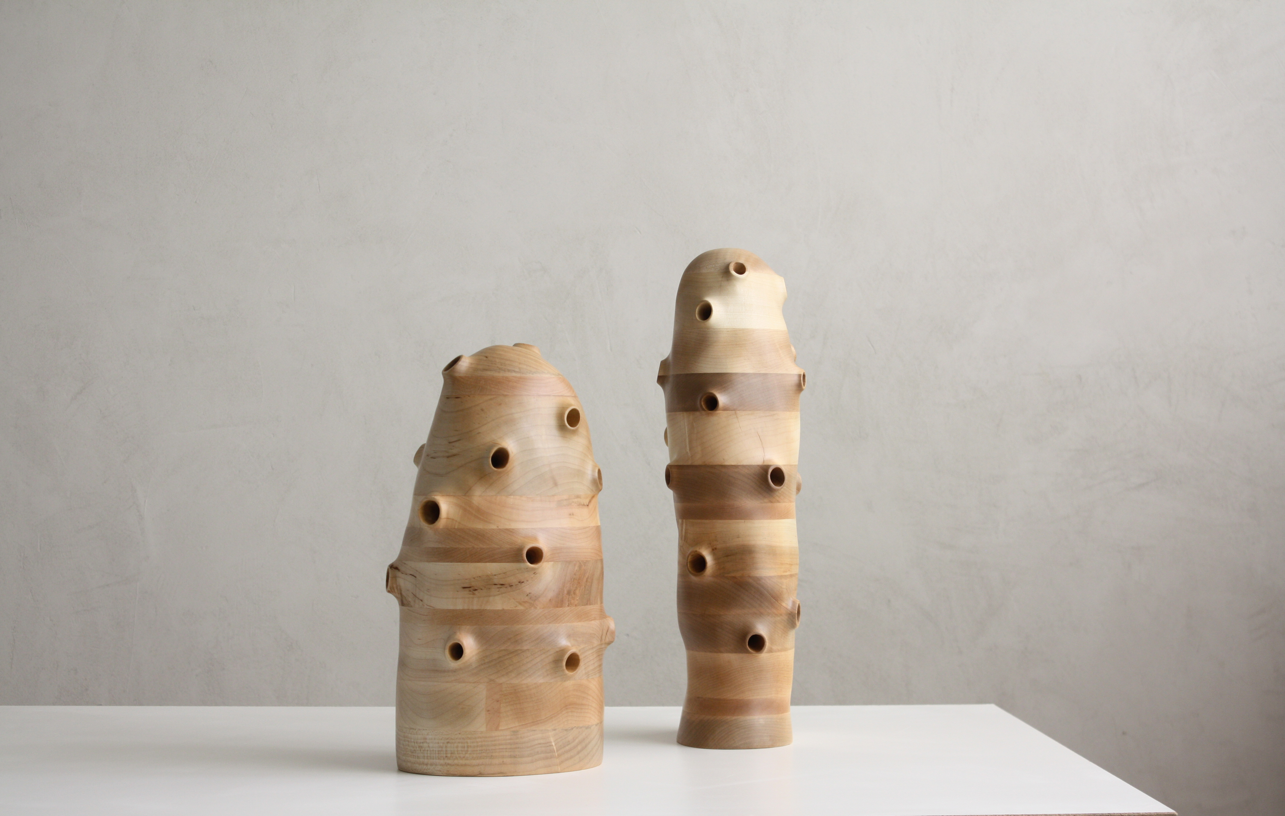 Contemporary Wood Sculpture Artists marinko abstract wooden