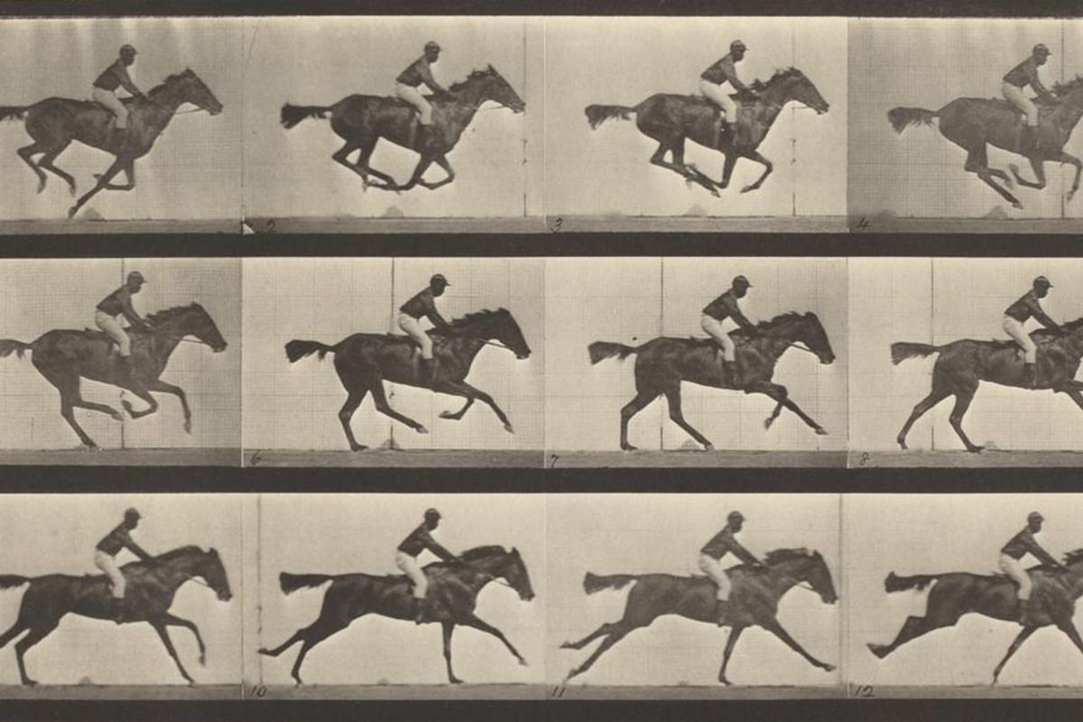 EADWEARD MUYBRIDGE ( M-O ) Muybridge, Eadweard